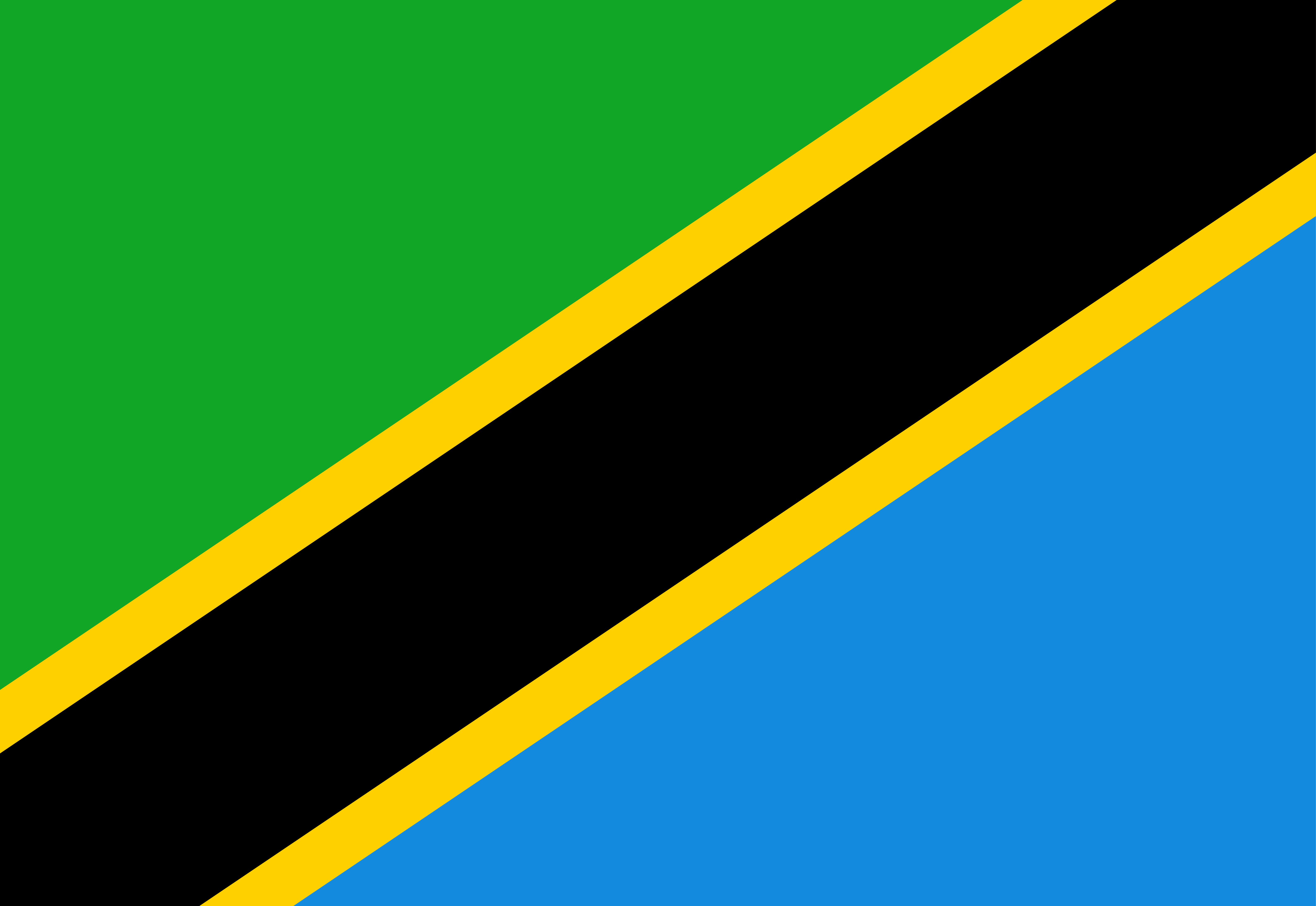 Tanzania Flag